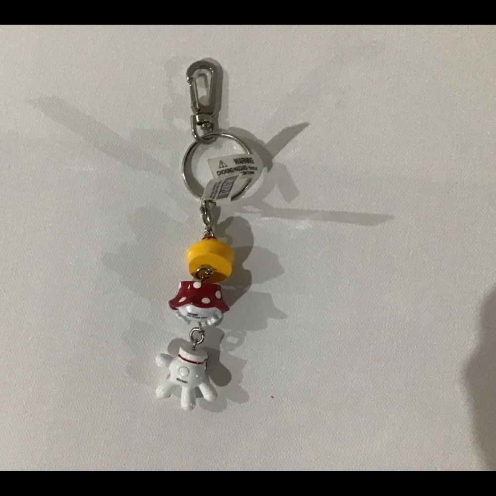 Disney Theme Park Keychain